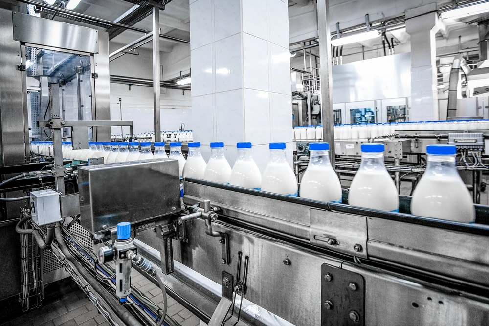 nsf h1 w branży spożywczej - linia produkcyjna w branży mleczarskiej