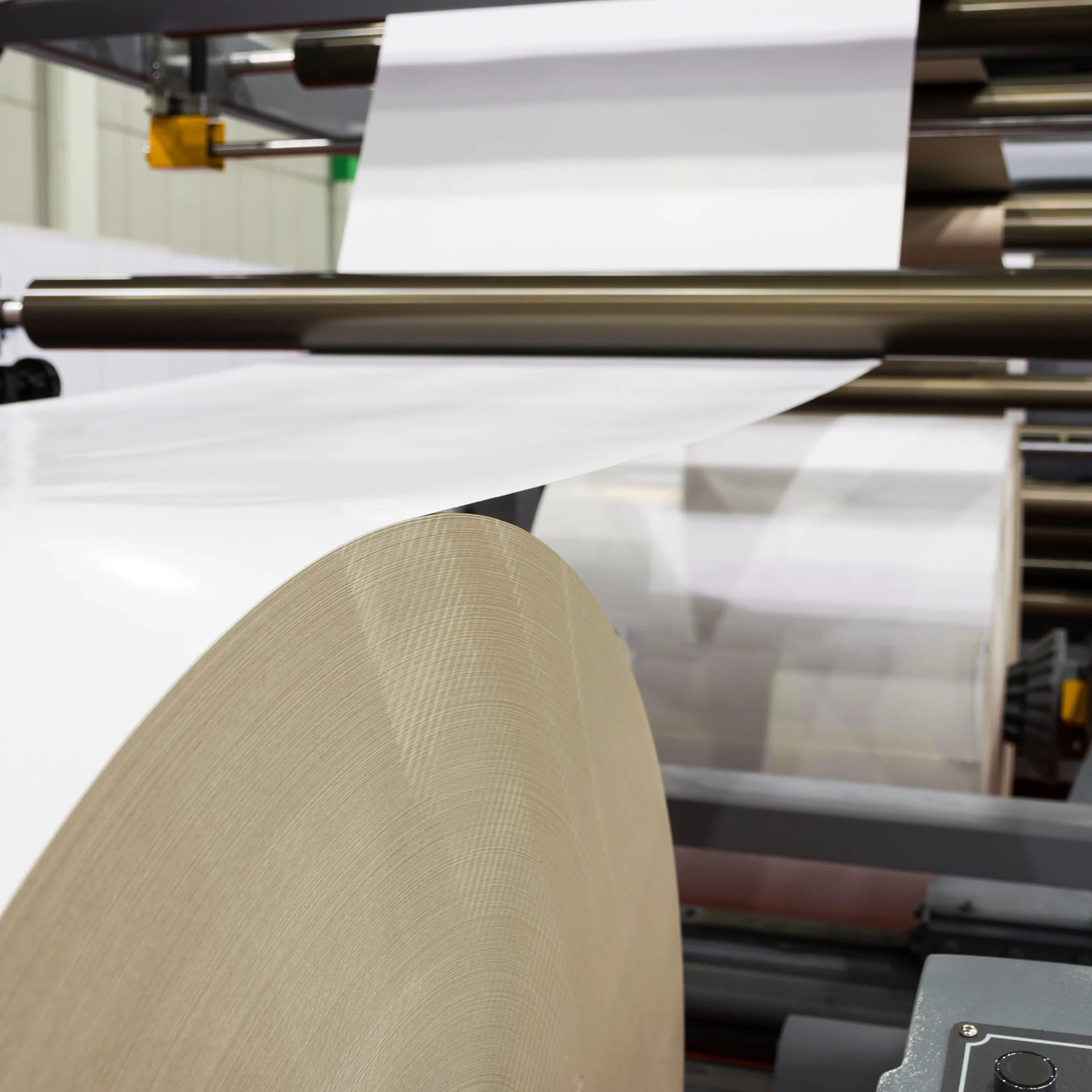 branza-papiernicza (3)