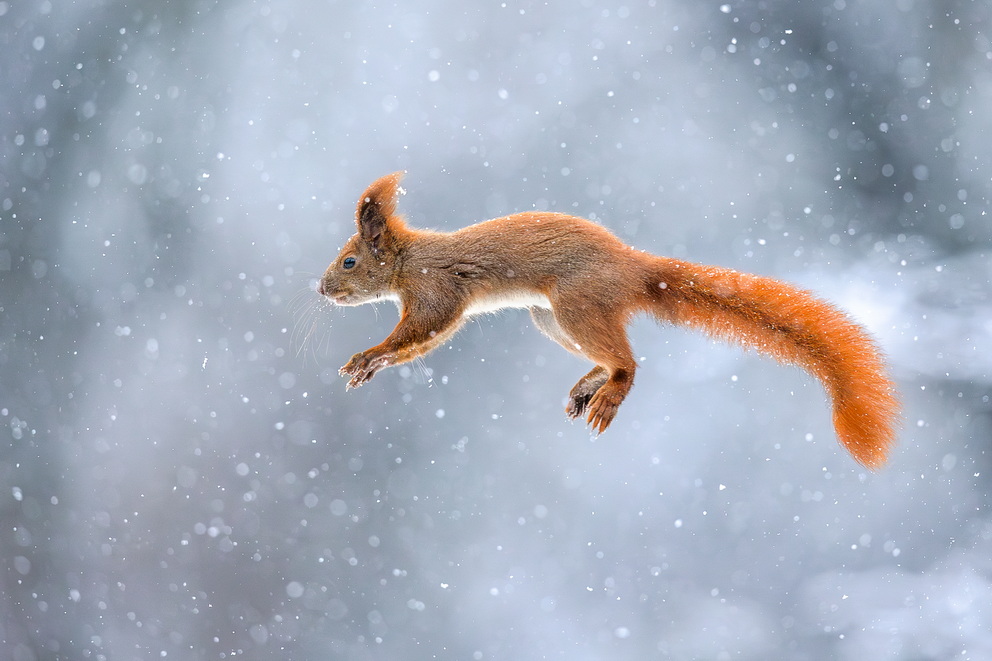 kalendarz-2026-styczen2