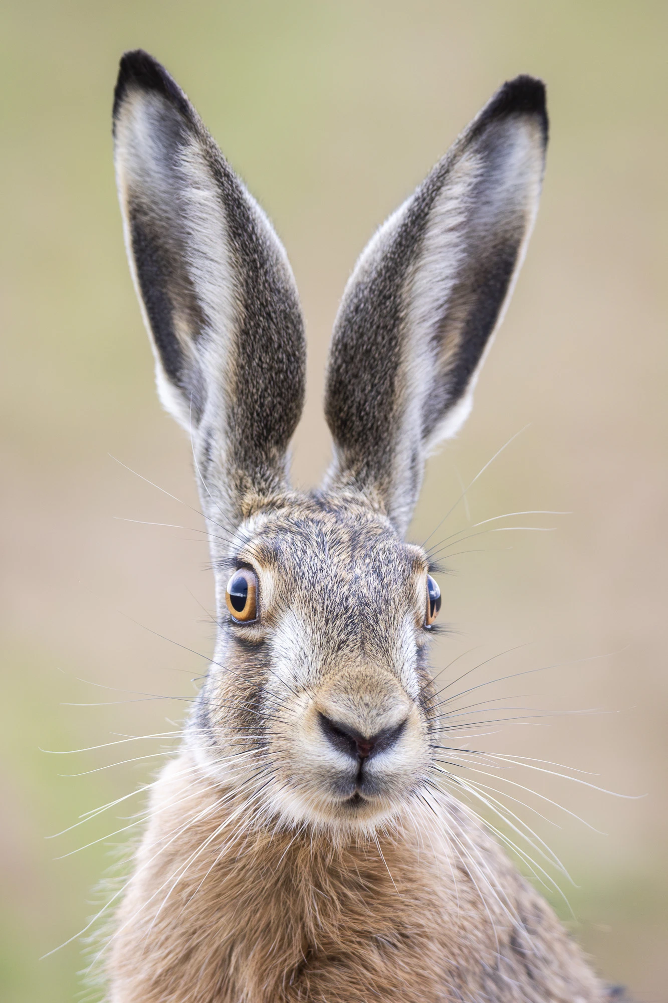 kalendarz-kwiecien (1)