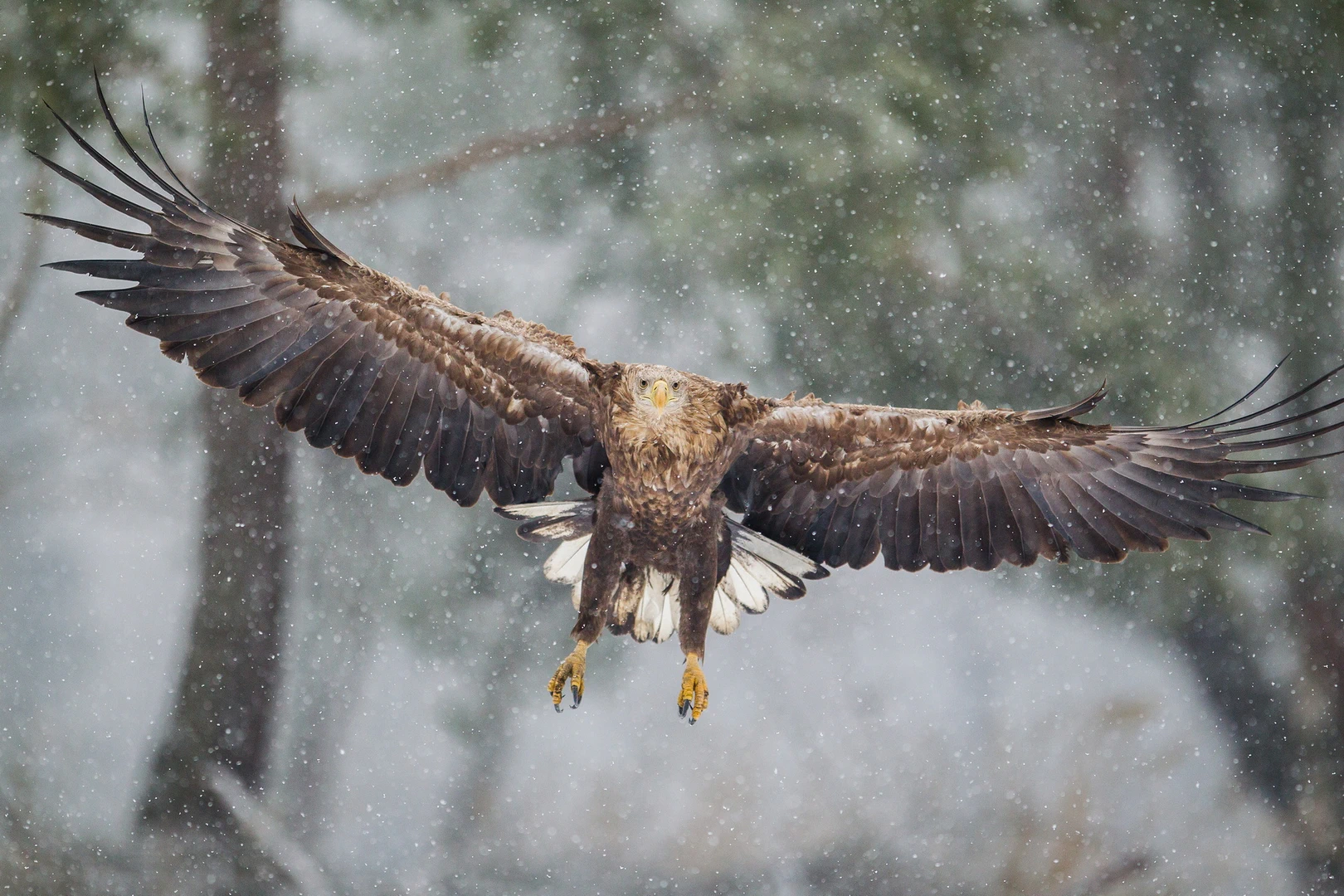 kalendarz-marzec-2026